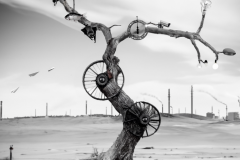 Squat: wheel tree